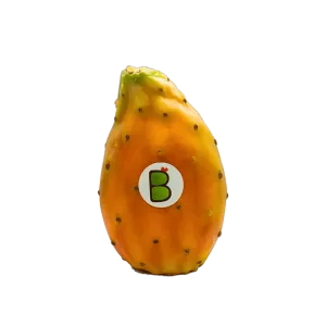 ficodindia varietà gialla